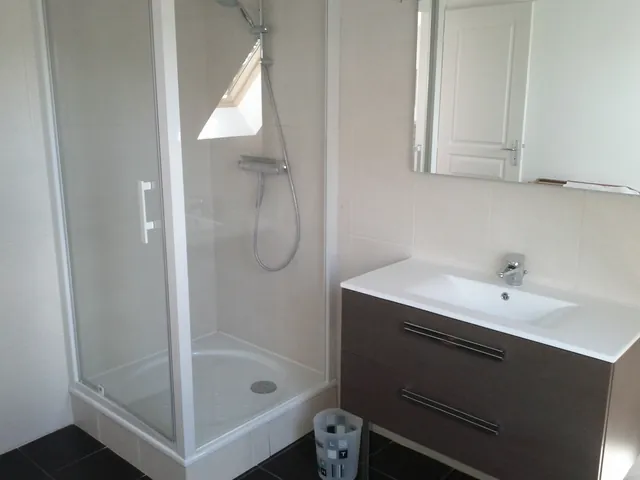 Salle de douche avec cabine de douche et lavabo